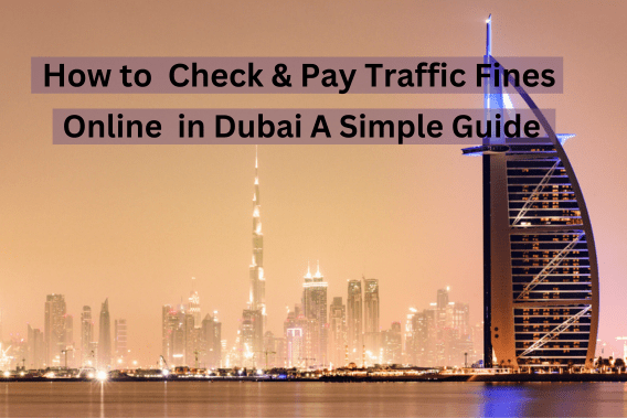 How to Check & Pay Traffic Fines Online in Dubai